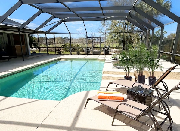 Pool Oasis