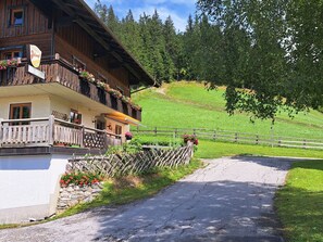 Pflanze, Himmel, Gebäude, Fenster, Baum, Wolke, Natürliche Landschaft, Haus, Freizeit, Landschaft