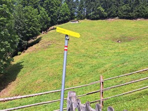 Pflanze, Baum, Steigung, Grundstueck, Zaun, Natürliche Landschaft, Gras, Wiese, Ground, Strauch
