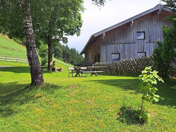 Plante, Propriété, Paysage Naturel, Ciel, Arbre, Lot Terre, Herbe, Biome, Suppression Des Plantes Ligneuses, Paysage