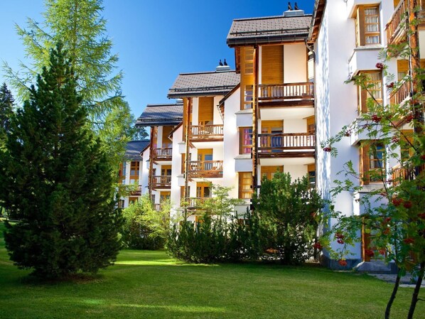 Plant, Sky, Building, Daytime, Property, Window, Architecture, Neighbourhood, Grass