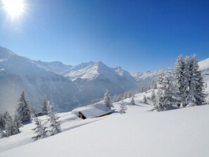 Sky, Mountain, Plant, Snow, Cloud, Tree, Slope, Glacial Landform, Terrain, Freezing
