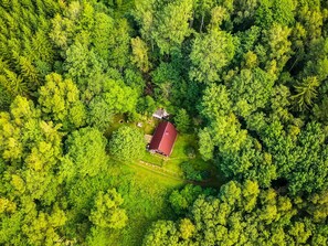 Leaf, Natural Landscape, Tree, Grass, Evergreen, Shrub, Groundcover, House, Landscape, Grassland