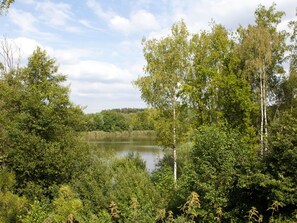 L'Eau, Nuage, Ciel, Plante, Ressources En Eau, Communauté Des Plantes, Paysage Naturel, Branche, Plan D'Eau, Lac