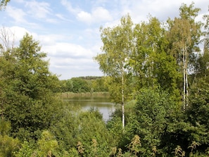 Water, Cloud, Sky, Plant, Water Resources, Plant Community, Natural Landscape, Branch, Body Of Water, Lake