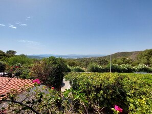 Pflanze, Himmel, Blume, Natürliche Landschaft, Wolke, Grundstueck, Baum, Strauch, Ground, Wiese