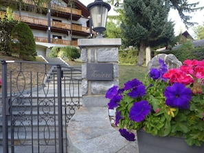 Pflanze, Blume, Botanik, Lila, Gebäude, Baum, Blütenblatt, Blumentopf, Zaun, Ground