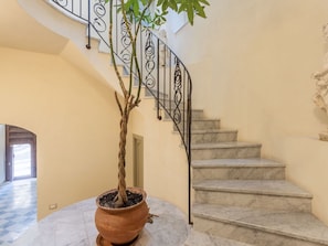 Plant, Stairs, Wood, Composite Material, Tints And Shades, Tree, Handrail, Facade, Natural Material