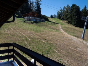 Plante, Propriété, Écorégion, Arbre, Ciel, Ombre, Lot Terre, Bois, Végétation, Pente