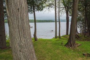 Front yard