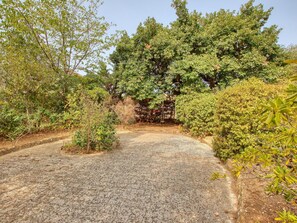 Plant, Natural Landscape, Sky, Road Surface, Groundcover, Landscape, Shrub, Grass, Asphalt, Road