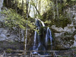 L'Eau, Ressources En Eau, Plante, Paysage Naturel, Branche, Arbre, Végétation, Bois, Lumière Du Soleil