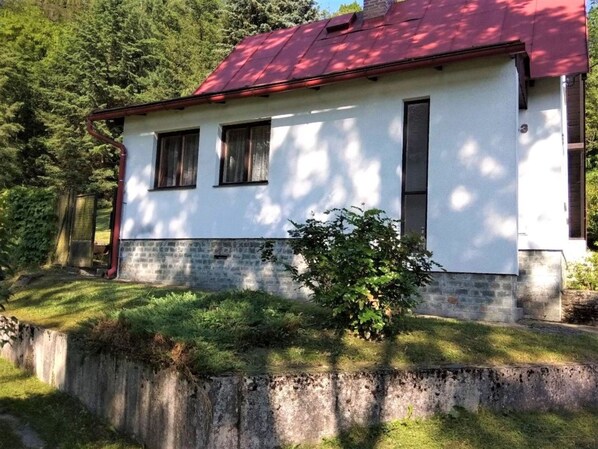 Plant, Building, Property, Window, Tree, House, Wood, Neighbourhood, Cottage