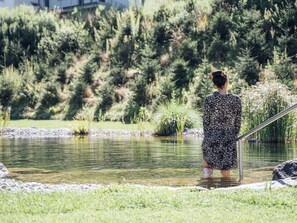 L'Eau, Ressources En Eau, Plante, Lac, Végétation, Cours D'Eau, Herbe, Banque