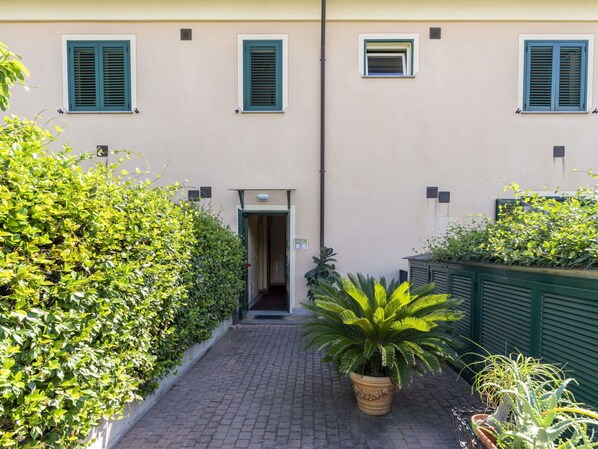 Plant, Window, Flowerpot, Building, Neighbourhood, Residential Area, Urban Design, Facade, Houseplant