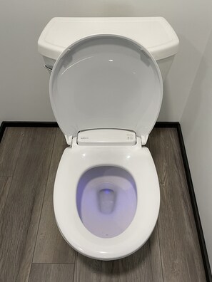 Heated basement toilet seat