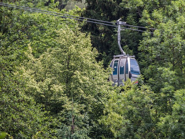 Fahrzeug, Seilbahn, Baum, Fenster, Natürliche Landschaft, Wald, Gras, Landschaft, Elektrisches Blau, Steigung