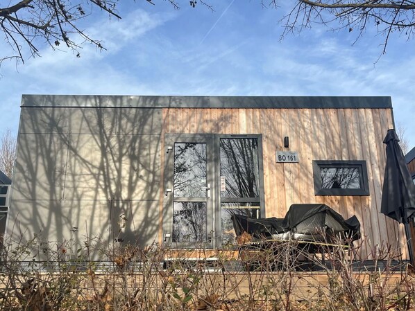 Pflanze, Himmel, Wolke, Holz, Zweig, Baum, Gras, Ländliches Gebiet, Fassade, Tönungen Und Schatten