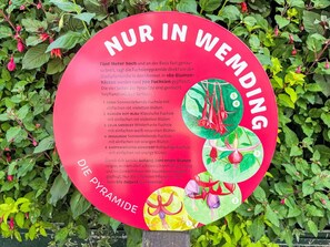 Pflanze, Vegetation, Gras, Schriftart, Rosa, Natürliche Landschaft, Blütenblatt, Ground, Baum