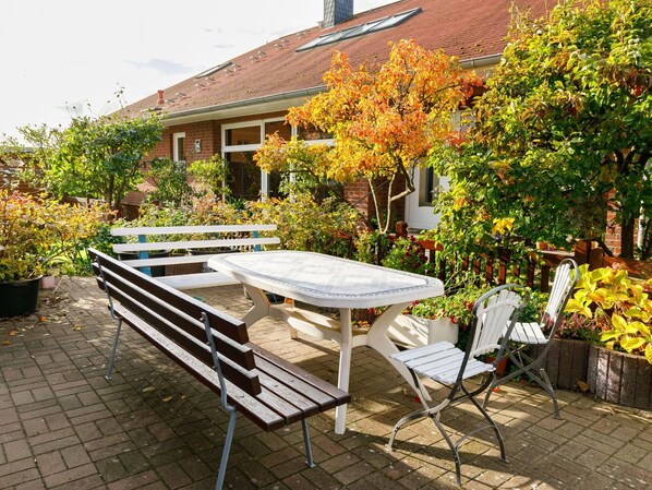 Plant, Flower, Furniture, Building, Property, Window, Flowerpot, Table, Tree, Orange