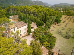 Building, Plant, Plant Community, Window, Green, Natural Landscape, Tree, House, Land Lot, Vegetation