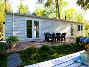 Plante, Propriété, Bâtiment, Fenêtre, Jaune, Ombre, Arbre, Bois, Lot Terre, Porte