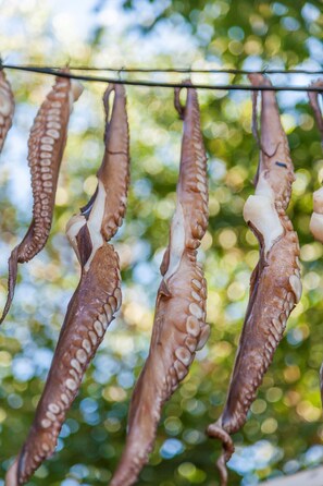 Alimentos y bebidas