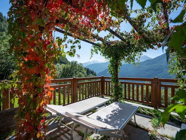 Sky, Property, Plant, Botany, Flower, Outdoor Furniture, Architecture, Vegetation, Fence, Shade