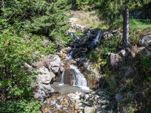 Wasser, Pflanze, Pflanzengemeinschaft, Natürliche Landschaft, Bedrock, Wasserfall, Frühling, Gewässer, Wasserlauf