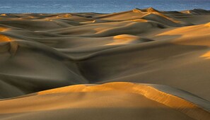 Natural Environment, Sand, Horizon, Landscape, Morning