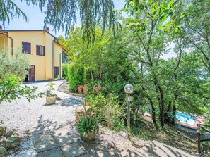 Garten, Garten, Hinterhof, Landscaping, Fahrrad, Zimmerpflanze