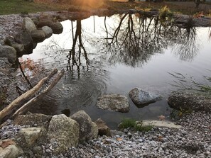 Wasser, Wasservorräte, Pflanze, Natürlichen Umgebung, Natürliche Landschaft, Holz, Vegetation, Sonnenlicht, Gras, Wasserlauf