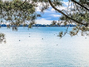 Bleu, L'Eau, Ressources En Eau, Jour, Plan D'Eau, La Nature, Branche, Lac
