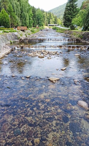 Wasser, Wasservorräte, Wasserlauf, Strom, \"Fels, Bank, Fluss, Auwald