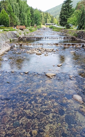 Water, Water Resources, Watercourse, Stream, Rock, Bank, River, Riparian Zone