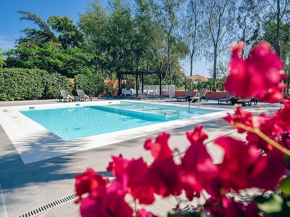 Water, Plant, Sky, Swimming Pool, Tree, Flower, Petal, Rectangle, Leisure, Grass