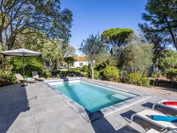 Plant, Water, Property, Sky, Swimming Pool, Tree, Azure, Architecture, Chair, Shade