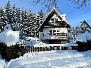 Sky, Building, Snow, Property, Plant, Window, Tree, Branch, House, Twig