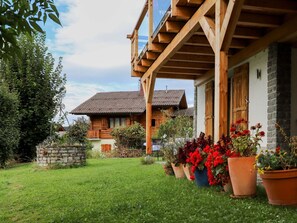 Plant, Flower, Building, Property, Sky, Flowerpot, Cloud, Houseplant, Window, House