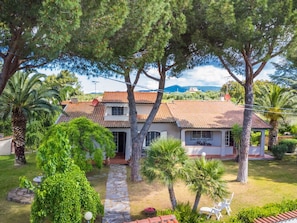 Baum, Wohngebiet, Haus, Zuhause, Strauch, Garten, Schatten, Estate, Landscaping, Hazienda
