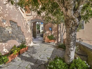Plante, Bâtiment, Botanique, Surface De La Route, Végétation, Architecture, Arbre, Pot De Fleur, Quartier, Sol