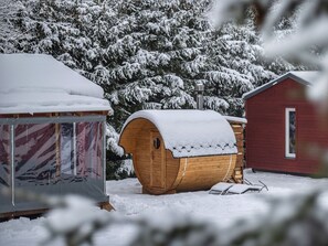 Neve, Proprietà, Finestra, Costruzione, Pianta, Ramo, Albero, Casa, Congelamento, Ramoscello