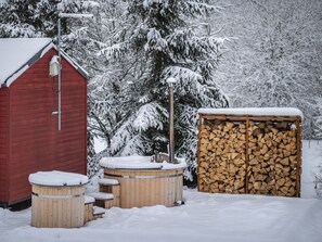 Plant, Snow, Building, Wood, Tree, Branch, Twig, House, Table, Freezing