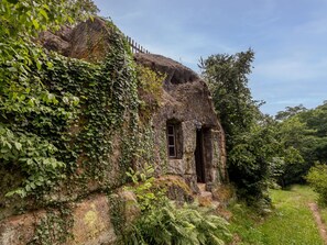 Plant, Sky, Plant Community, Window, Natural Landscape, Cloud, Grass, Cottage, Landscape, Grass Family