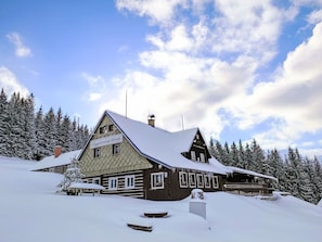 Chalet, L'Hiver, Mélèze, Neige, Gelé, Cabane, Glacial Relief, À Feuilles Persistantes