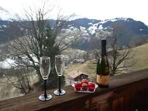 Sky, Bottle, Mountain, Window, Table, Snow, Wine, Drinkware, Tableware, Tree