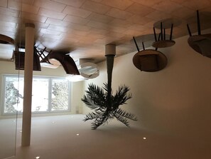 Pflanze, Interior Design, Holz, Kunst, Gebäude, Wand, Materialeigenschaft, Schatten, Zweig, Baum