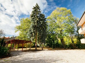 Wolke, Himmel, Pflanze, Ast, Schatten, Natürliche Landschaft, Baum, Lärche, Strassenbelag, Gras