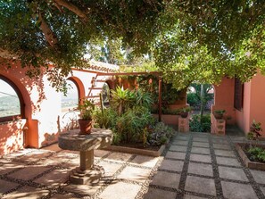Plant, Building, Flowerpot, Tree, Road Surface, Shade, Landscape, Leisure, Houseplant, Real Estate
