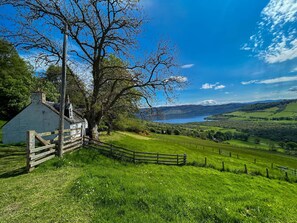 Sky, Plant, Cloud, Ecoregion, Natural Landscape, Tree, Natural Environment, Wood, Highland, Mountain